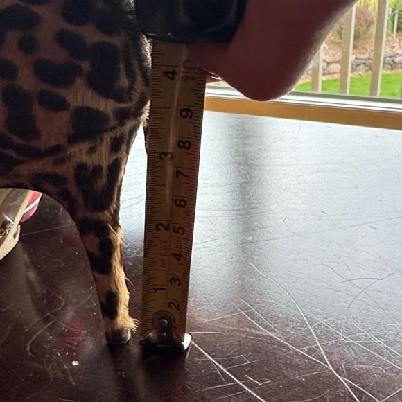 Sam Edelman Leopard Heels with Striped Red Bow - Picture 6 of 6